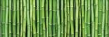 Fototapeta na stěnu Bamboo