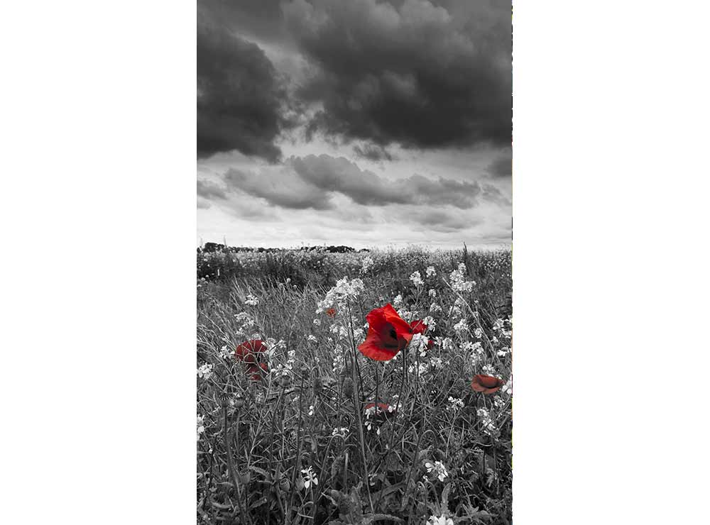 DIMEX vliesová fototapeta 150 x 250 cm MS-2-0091