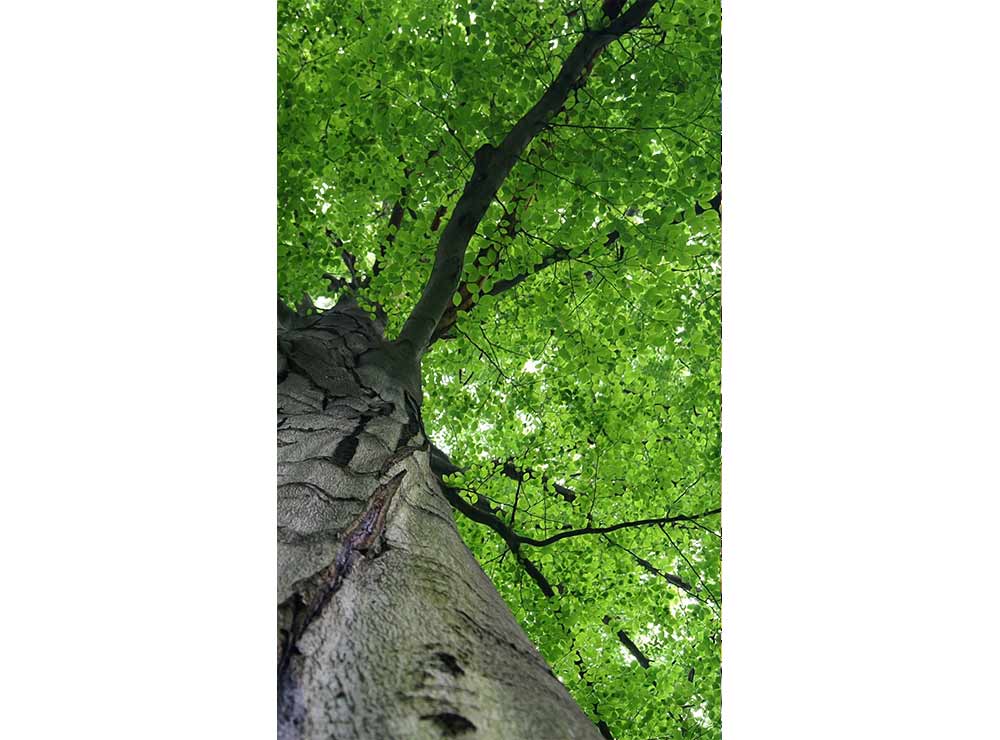 DIMEX vliesová fototapeta 150 x 250 cm MS-2-0101
