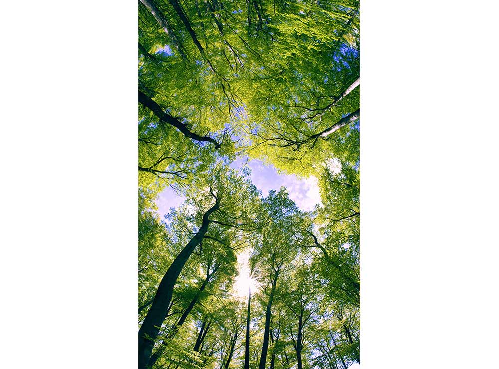 DIMEX vliesová fototapeta 150 x 250 cm MS-2-0104