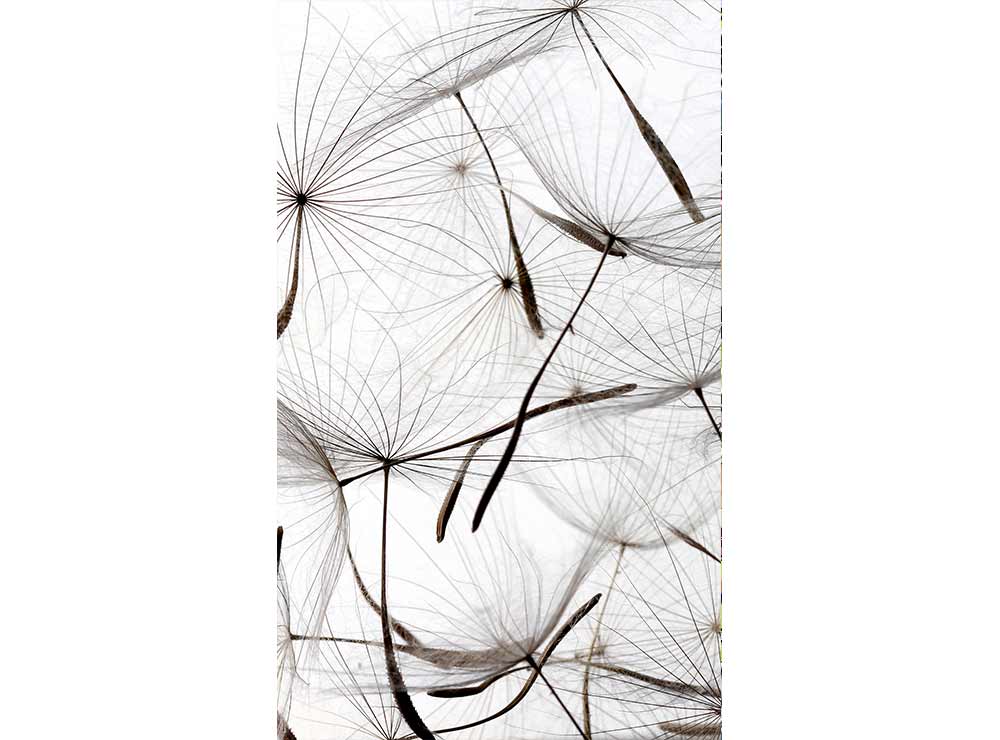 DIMEX vliesová fototapeta 150 x 250 cm MS-2-0122