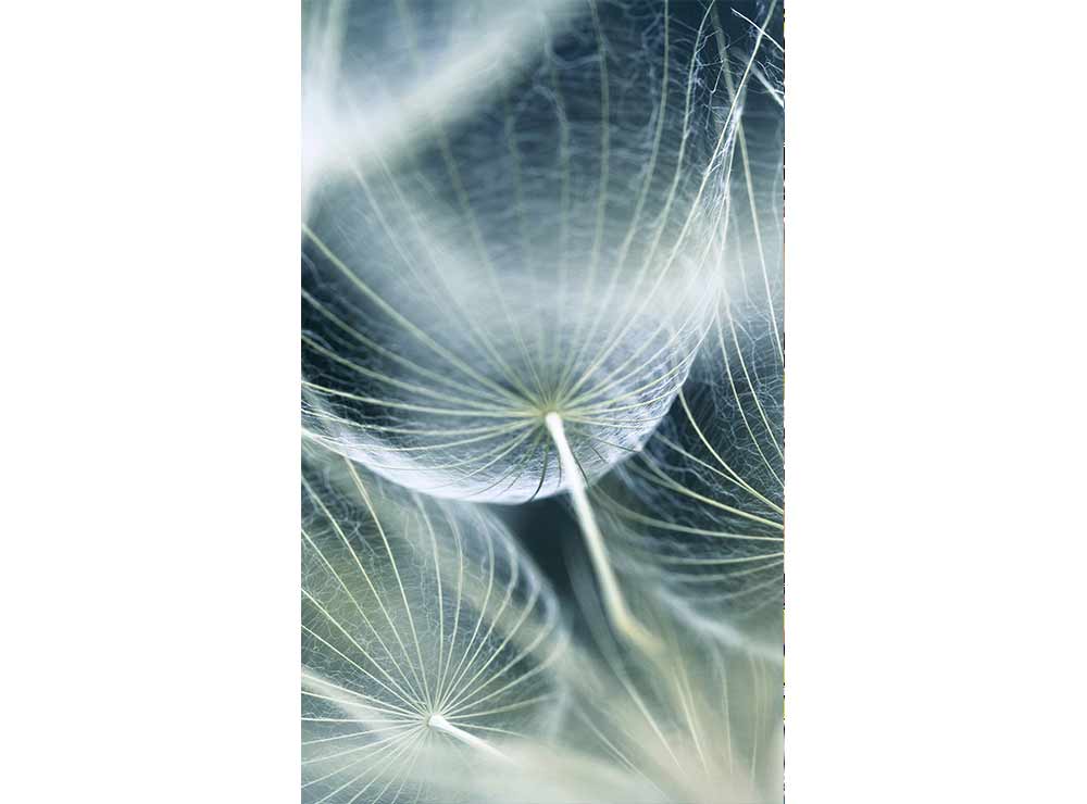 DIMEX vliesová fototapeta 150 x 250 cm MS-2-0123