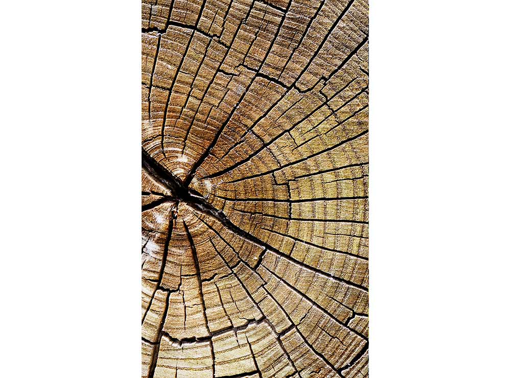 DIMEX vliesová fototapeta 150 x 250 cm MS-2-0162