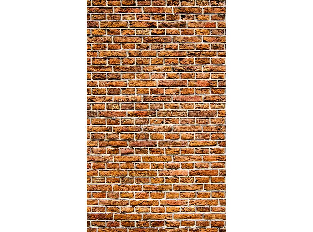 DIMEX vliesová fototapeta 150 x 250 cm MS-2-0167
