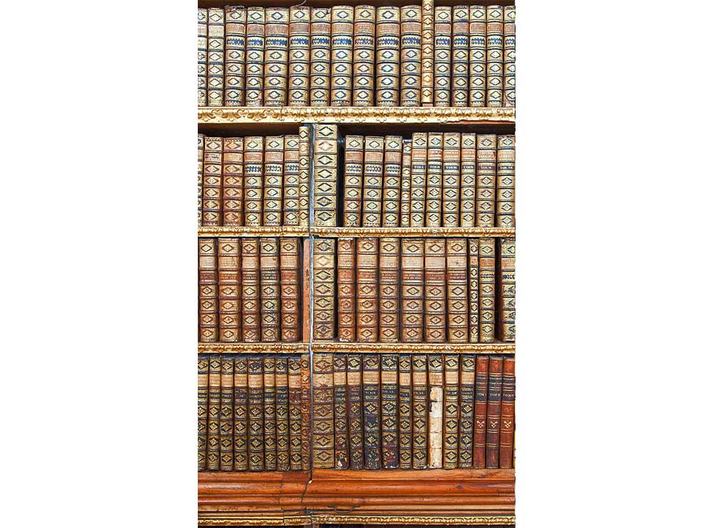 DIMEX vliesová fototapeta 150 x 250 cm MS-2-0263