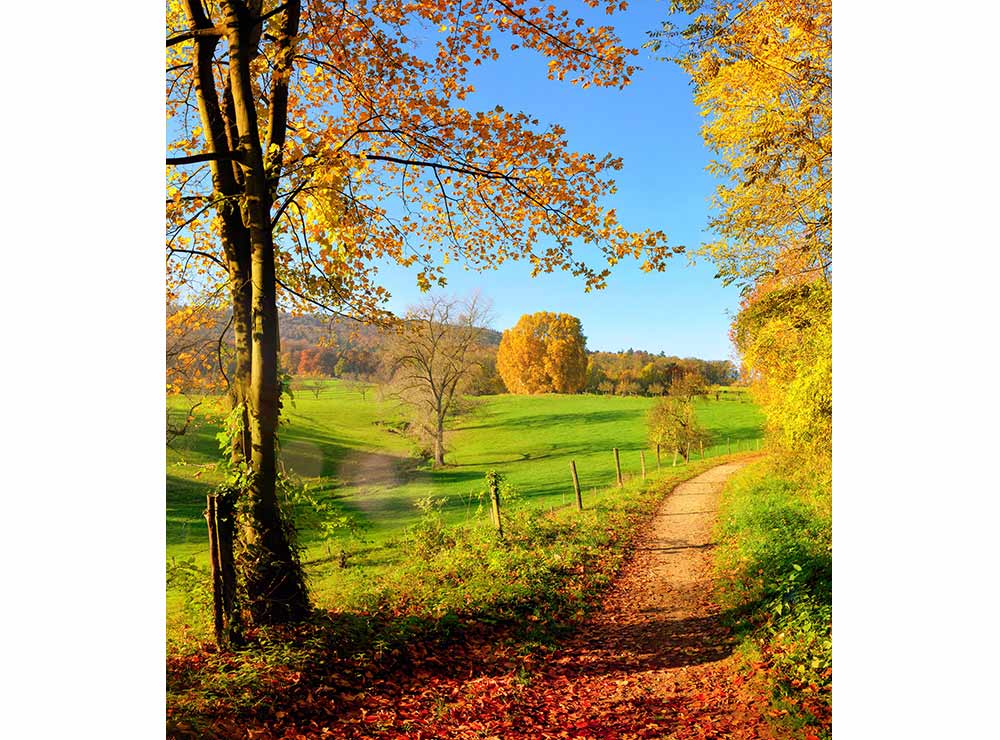 DIMEX vliesová fototapeta 225 x 250 cm MS-3-0066