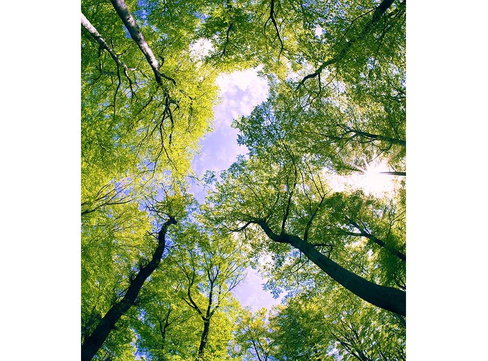 DIMEX vliesová fototapeta 225 x 250 cm MS-3-0104