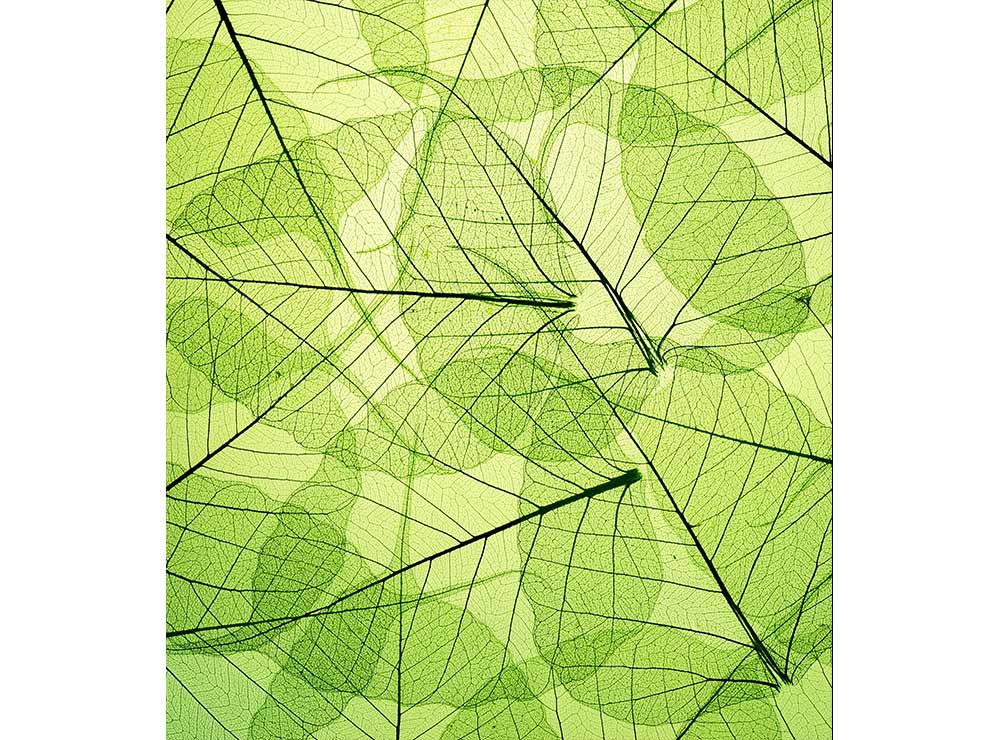 DIMEX vliesová fototapeta 225 x 250 cm MS-3-0111