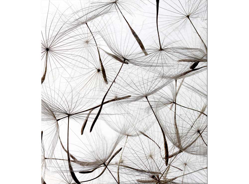 DIMEX vliesová fototapeta 225 x 250 cm MS-3-0122