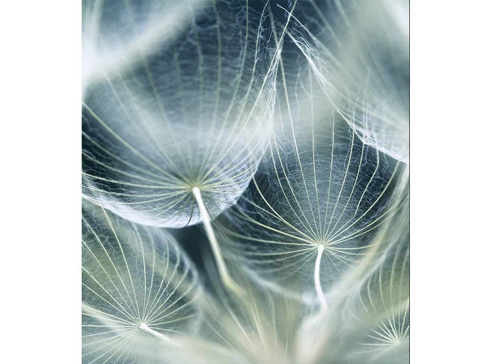 DIMEX vliesová fototapeta 225 x 250 cm MS-3-0123