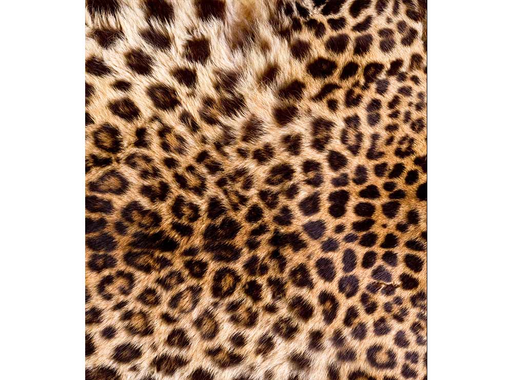 DIMEX vliesová fototapeta 225 x 250 cm MS-3-0184