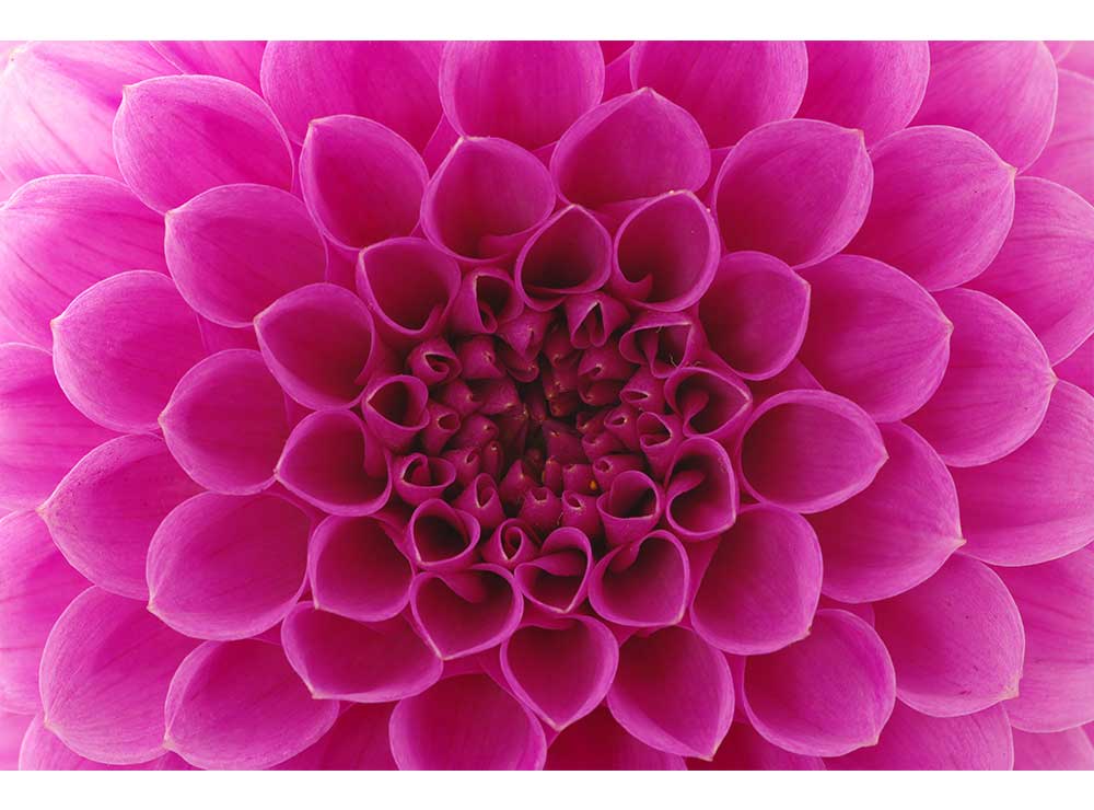 DIMEX vliesová fototapeta 375 x 250 cm MS-5-0132