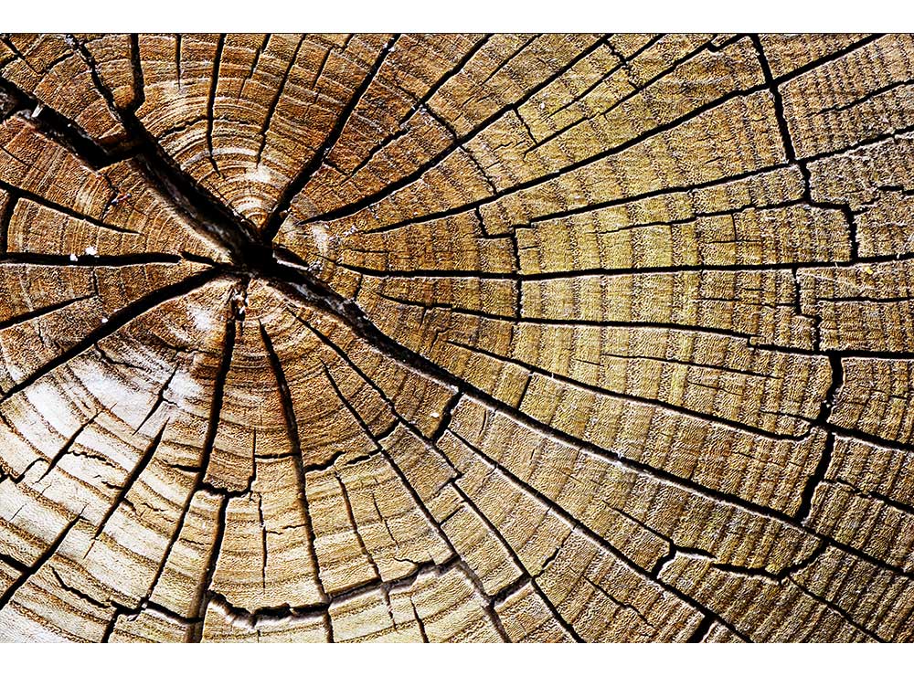 DIMEX vliesová fototapeta 375 x 250 cm MS-5-0162