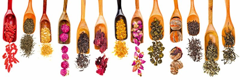 Fototapeta na zeď Dimex Herbal M-524 | 330x110cm