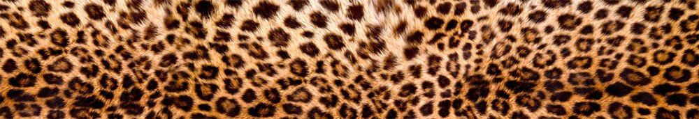 Fototapeta za linku KI350-069 Leopardl 350 x 60 cm