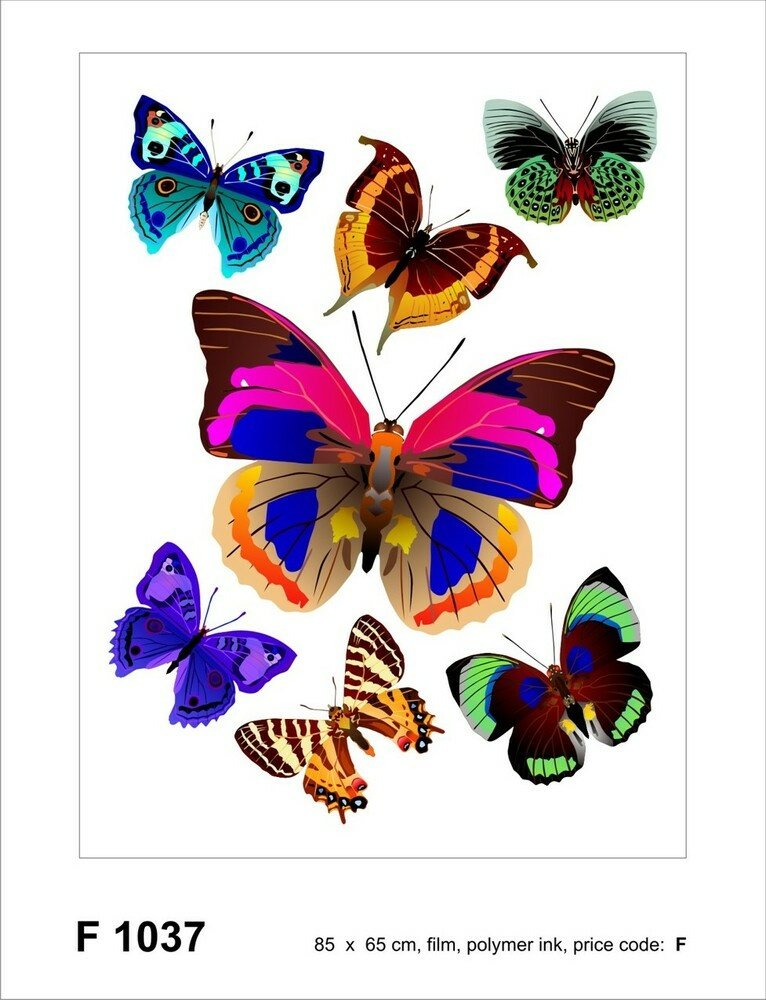 Samolepicí dekorace Motýli F 1037 - 65 x 85 cm