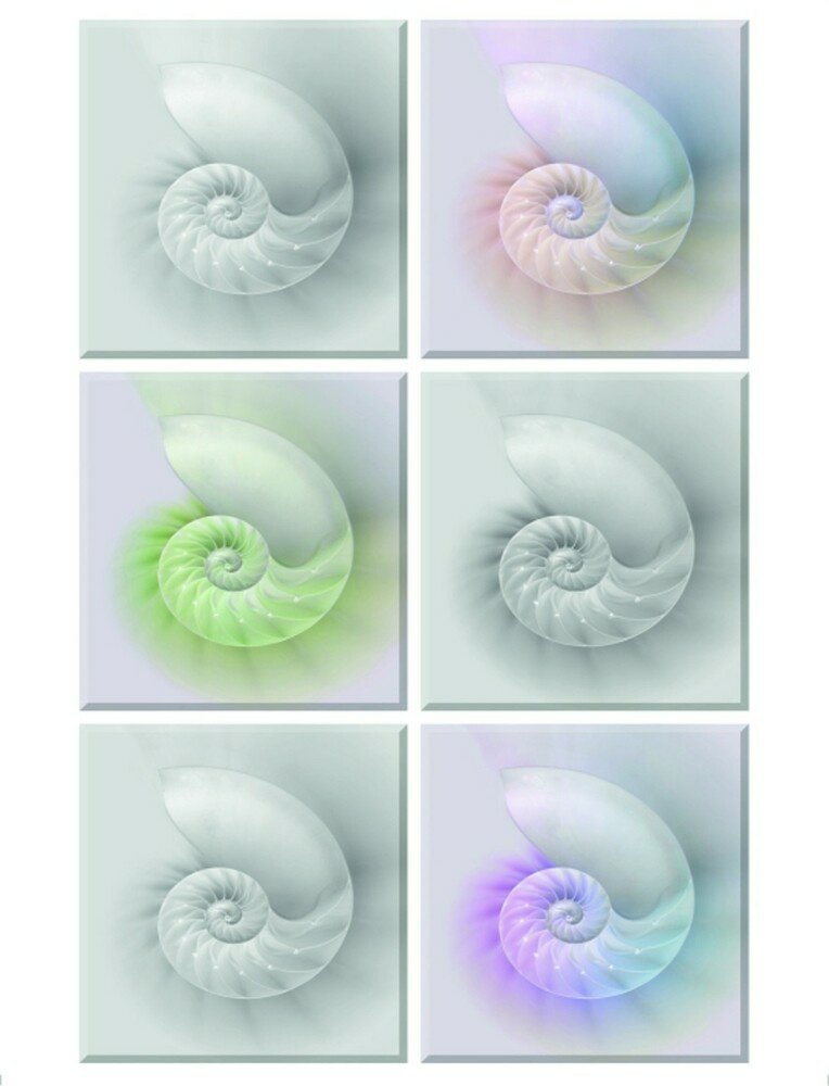 Samolepicí dekorace Ulity F 1062 - 65 x 85 cm