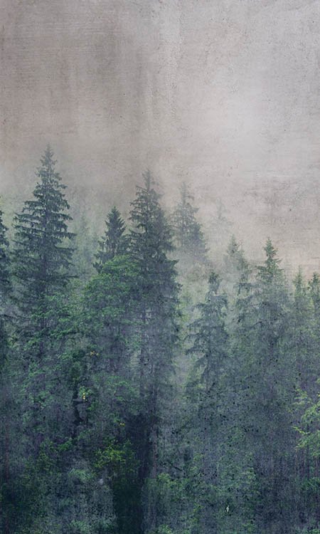 DIMEX vliesová fototapeta Forest Abstract 150 x 250 cm MS-2-0353