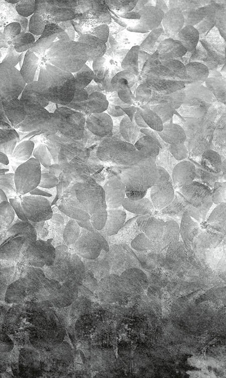 DIMEX vliesová fototapeta 150 x 250 cm MS-2-0355