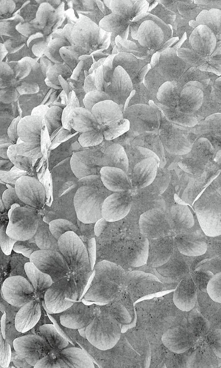DIMEX vliesová fototapeta 150 x 250 cm MS-2-0356