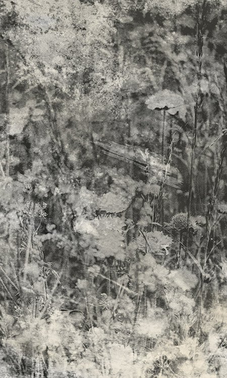 DIMEX vliesová fototapeta 150 x 250 cm MS-2-0361