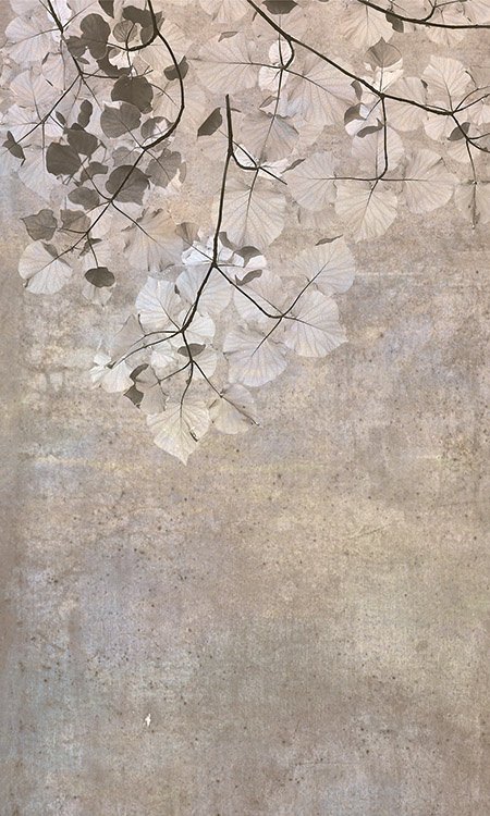 DIMEX vliesová fototapeta 150 x 250 cm MS-2-0366