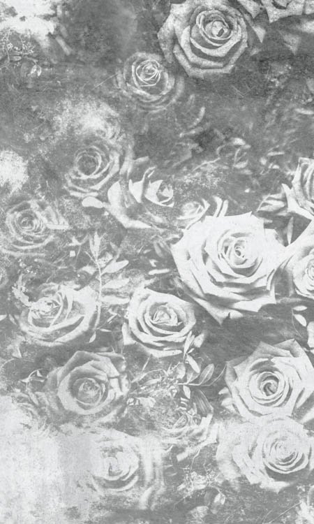 DIMEX vliesová fototapeta 150 x 250 cm MS-2-0378