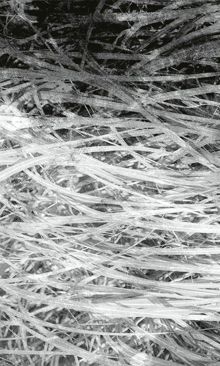 DIMEX vliesová fototapeta 150 x 250 cm MS-2-0382