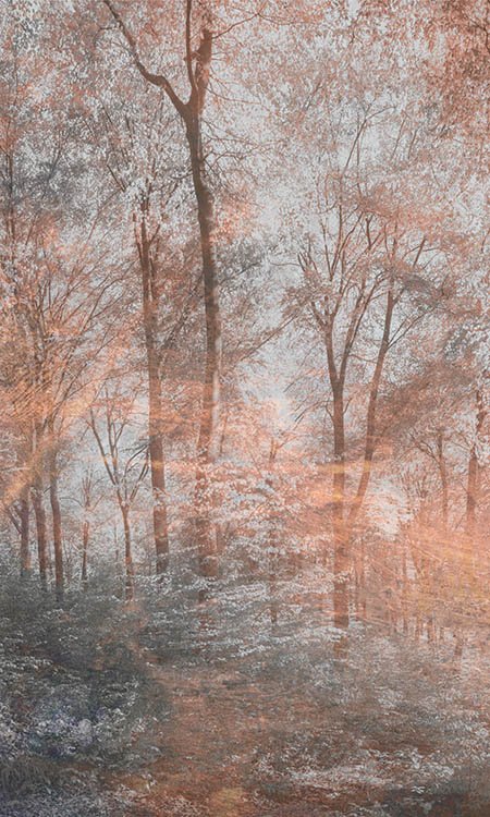 DIMEX vliesová fototapeta 150 x 250 cm MS-2-0390
