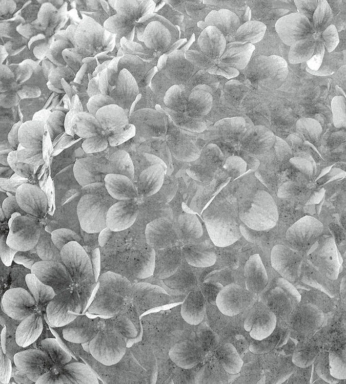 DIMEX vliesová fototapeta 225 x 250 cm MS-3-0356