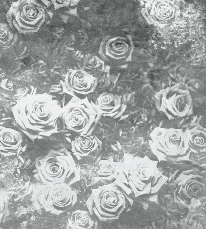 DIMEX vliesová fototapeta 225 x 250 cm MS-3-0378