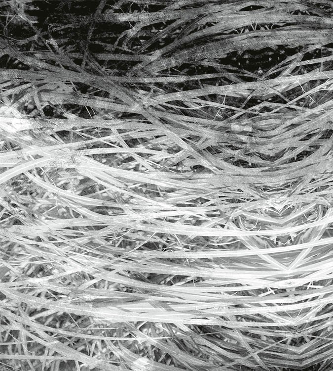 DIMEX vliesová fototapeta 225 x 250 cm MS-3-0382