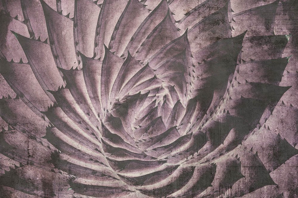 DIMEX vliesová fototapeta 375 x 250 cm MS-5-0352