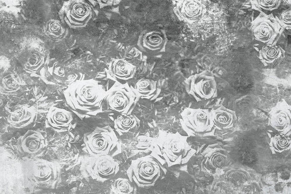 DIMEX vliesová fototapeta 375 x 250 cm MS-5-0378