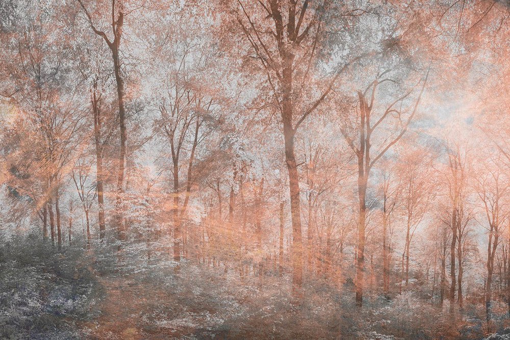 DIMEX vliesová fototapeta 375 x 250 cm MS-5-0390