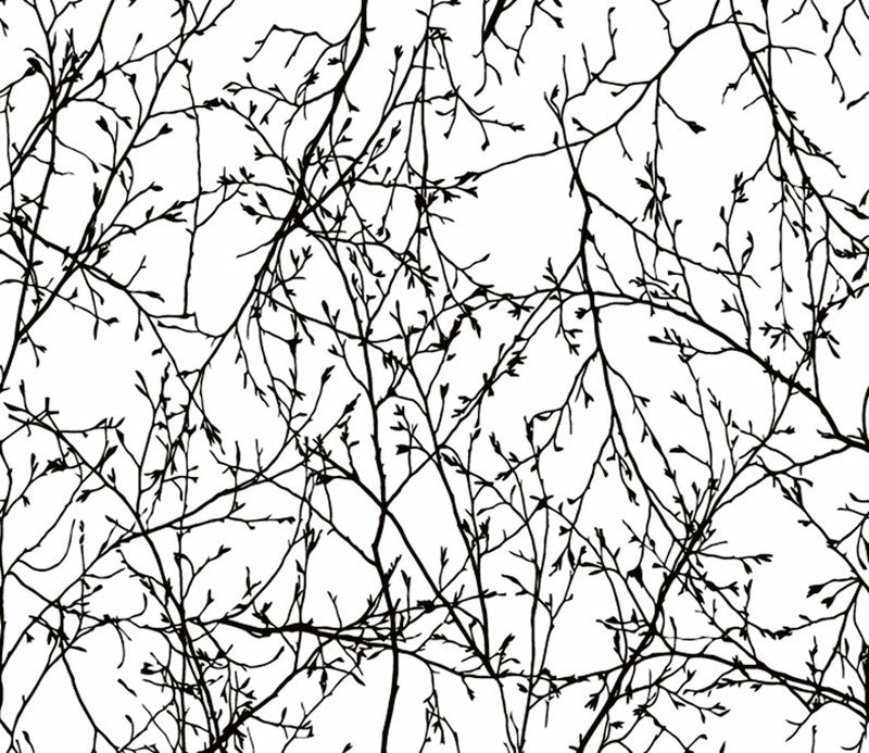 Tapety na zeď WP-021-01 Dimex Line 0,75 x 10 m