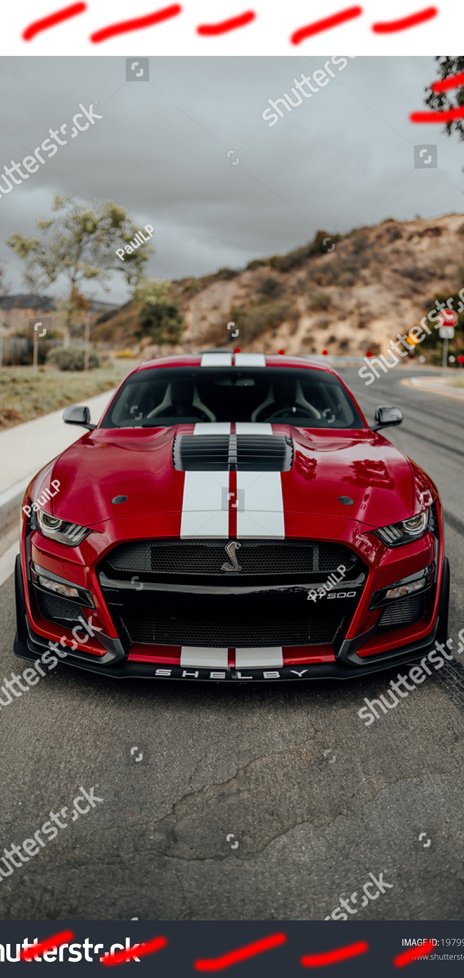 Vliesová fototapeta Mustang 118 x 248 cm