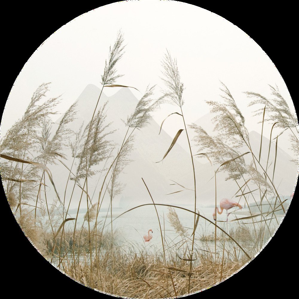 Samolepicí fototapeta CR3204 Reeds 70 x 70 cm