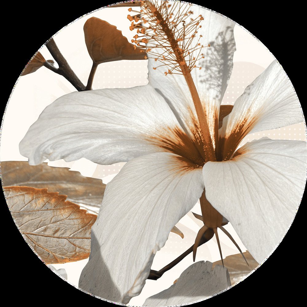 Samolepicí fototapeta CR3217 Lily 70 x 70 cm