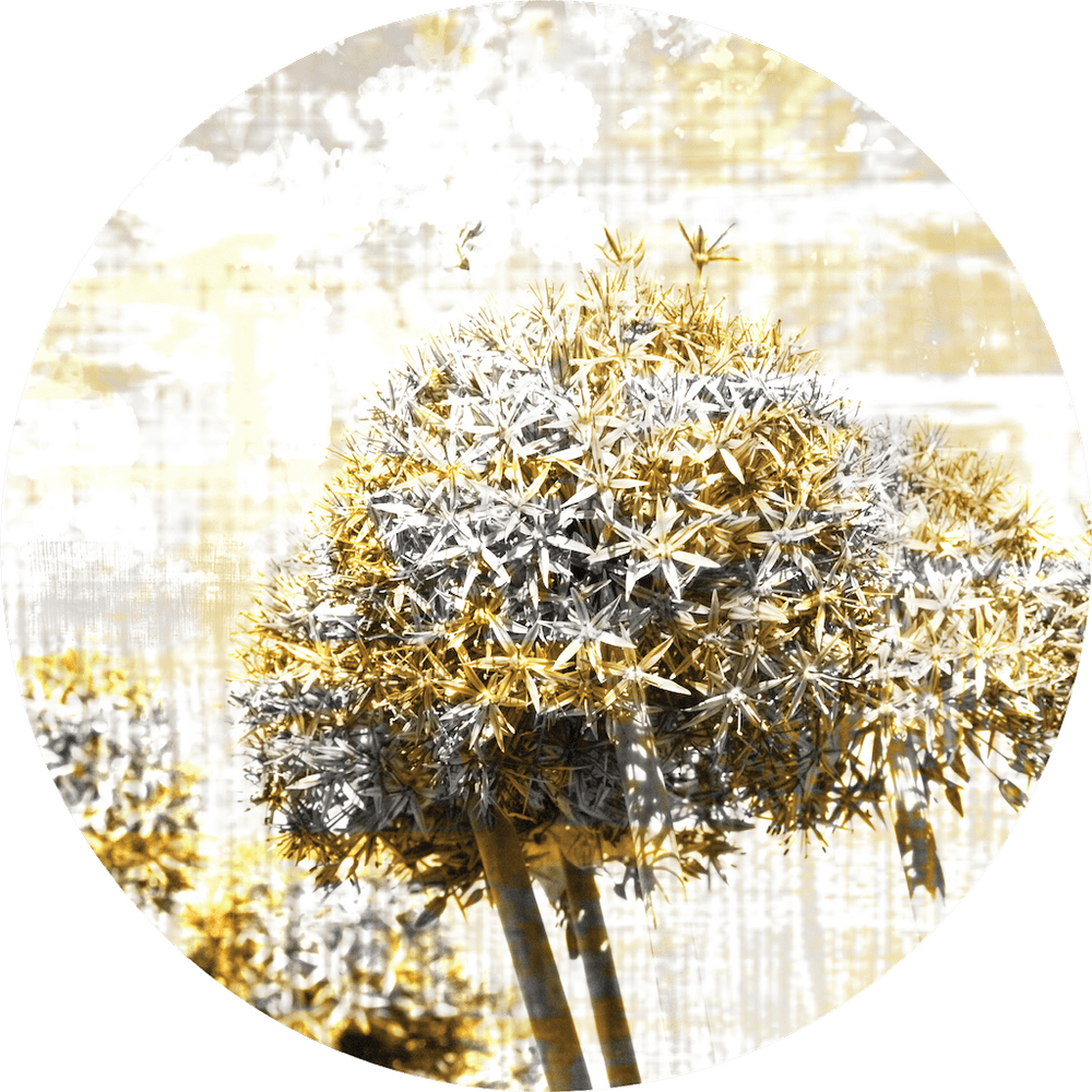 Samolepicí fototapeta CR3303 Magic of Dandelion 140 x 140 cm