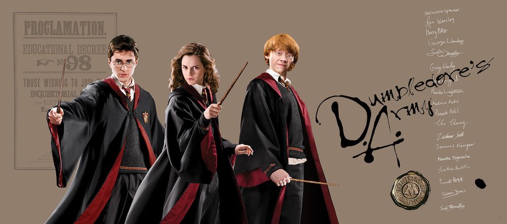 Plakát na zeď Harry Potter FTDNH 5515 - 170 x 75 cm