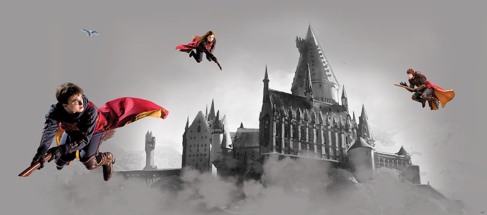 Plakát na zeď Harry Potter FTDNH 5517 - 170 x 75 cm