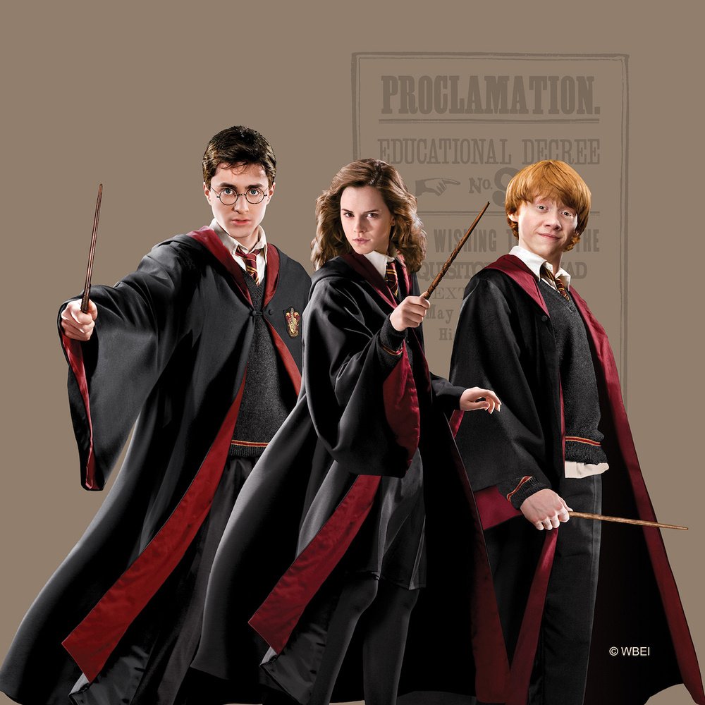 Dekorační polštář Harry Potter CND3155 | 40 x 40 cm