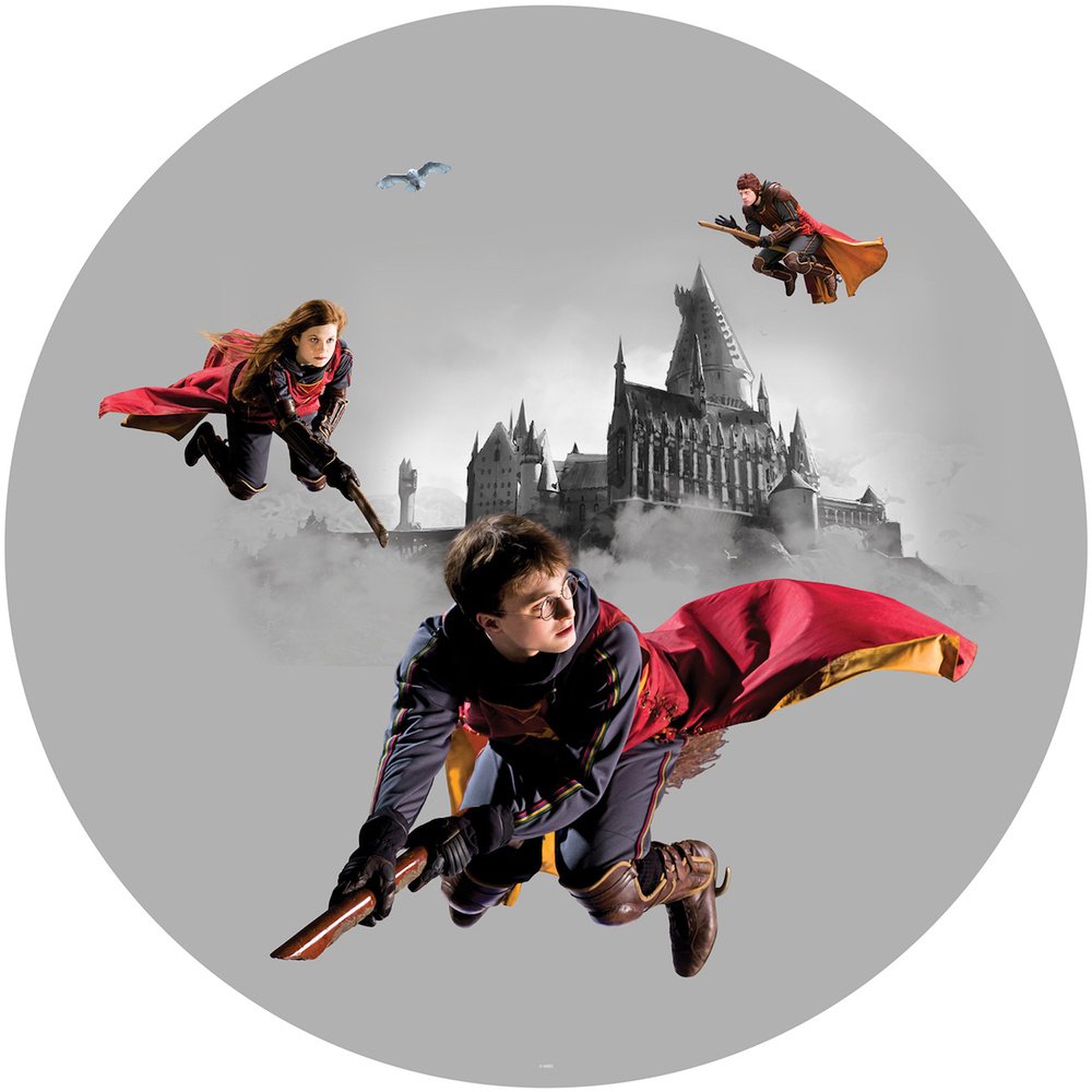 Samolepicí fototapeta CRD5807 Harry Potter 70 x 70 cm