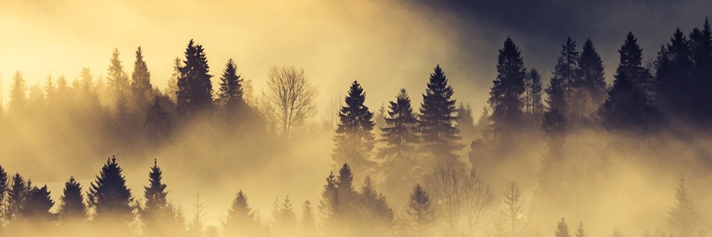 Fototapeta do kuchyně KI180-142 Fog 180 x 60 cm