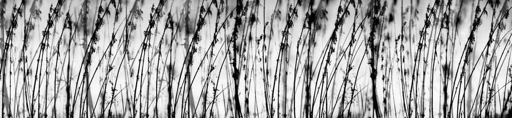 Fototapeta do kuchyně KI260-137 Grey 260 x 60 cm