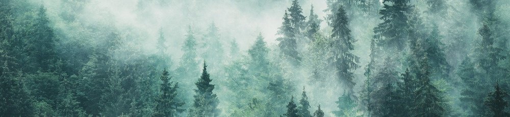 Fototapeta do kuchyně KI260-140 Fog in the Forest 260 x 60 cm