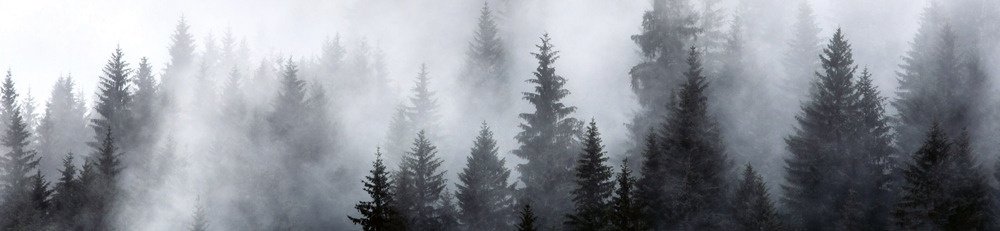 Fototapeta do kuchyně KI260-143 Dark Forest 260 x 60 cm