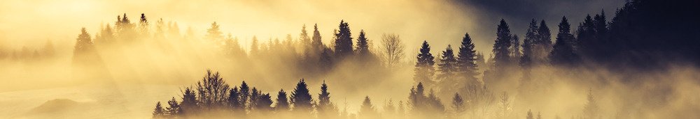 Fototapeta za linku KI350-142 Fog 350 x 60 cm
