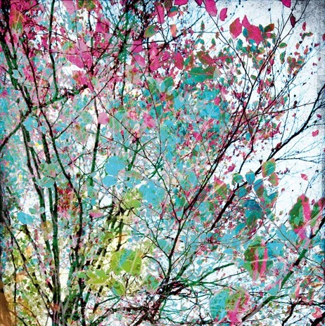 Rasch fototapeta Young Artist 279 x 280 cm 100983